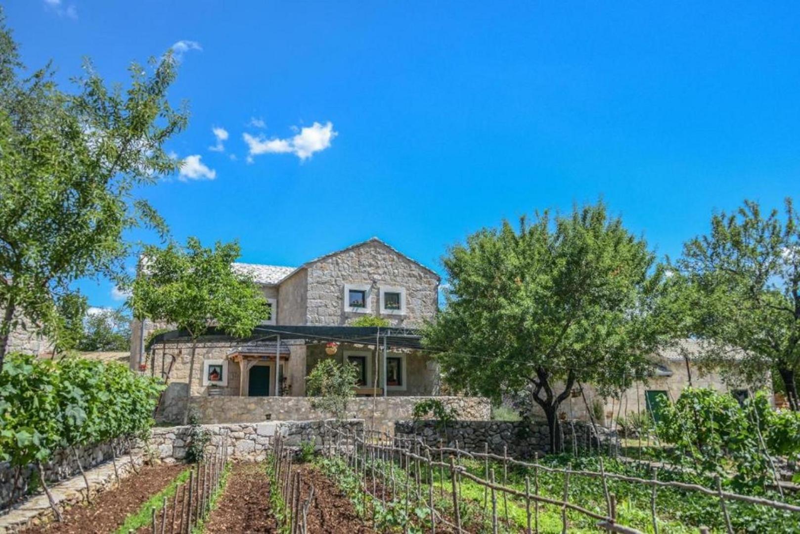 Villa Ognjistar In The Hinterland Of Makarska Riviera Zmijavci Kültér fotó